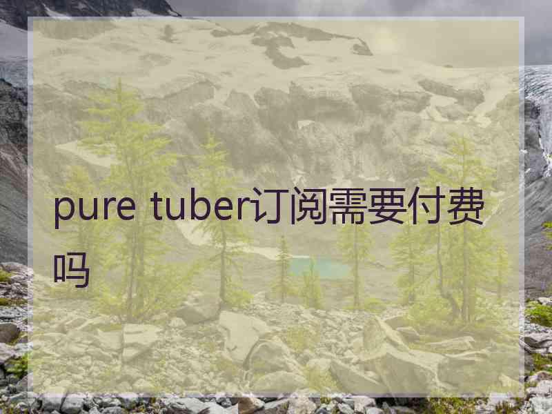 pure tuber订阅需要付费吗