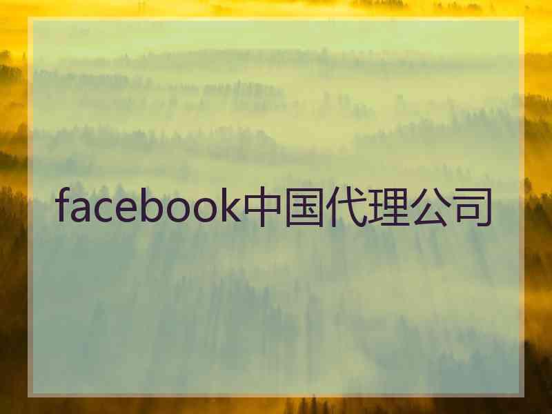 facebook中国代理公司