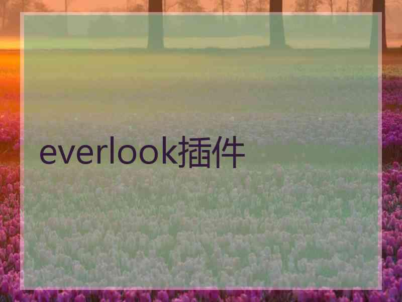 everlook插件