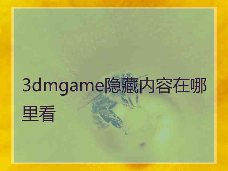 3dmgame隐藏内容在哪里看