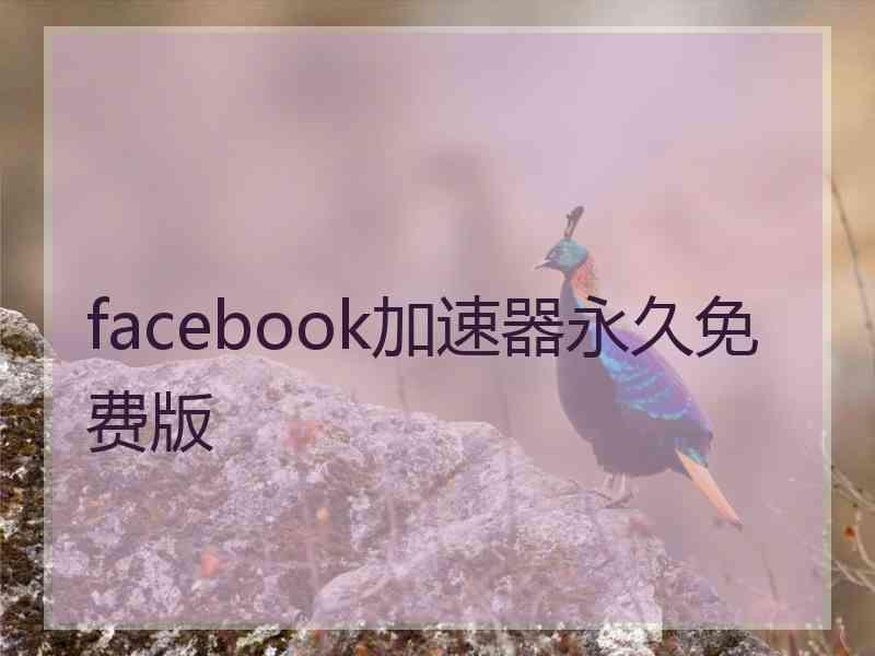 facebook加速器永久免费版