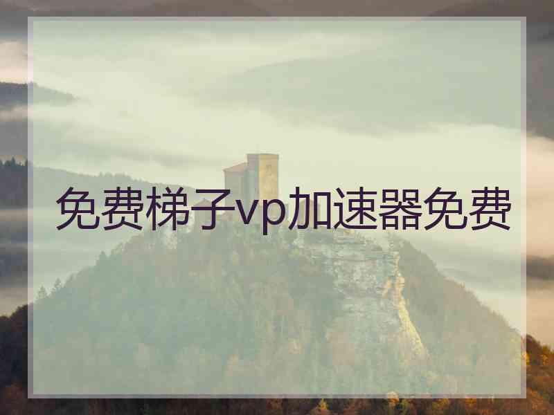 免费梯子vp加速器免费