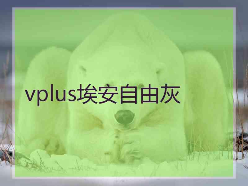 vplus埃安自由灰