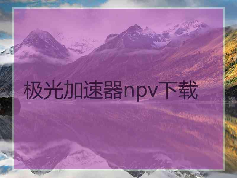 极光加速器npv下载