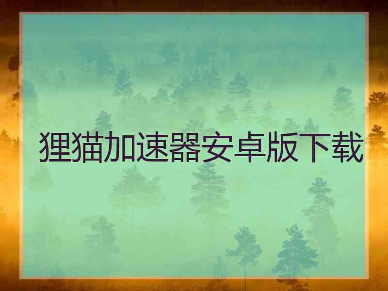 狸猫加速器安卓版下载