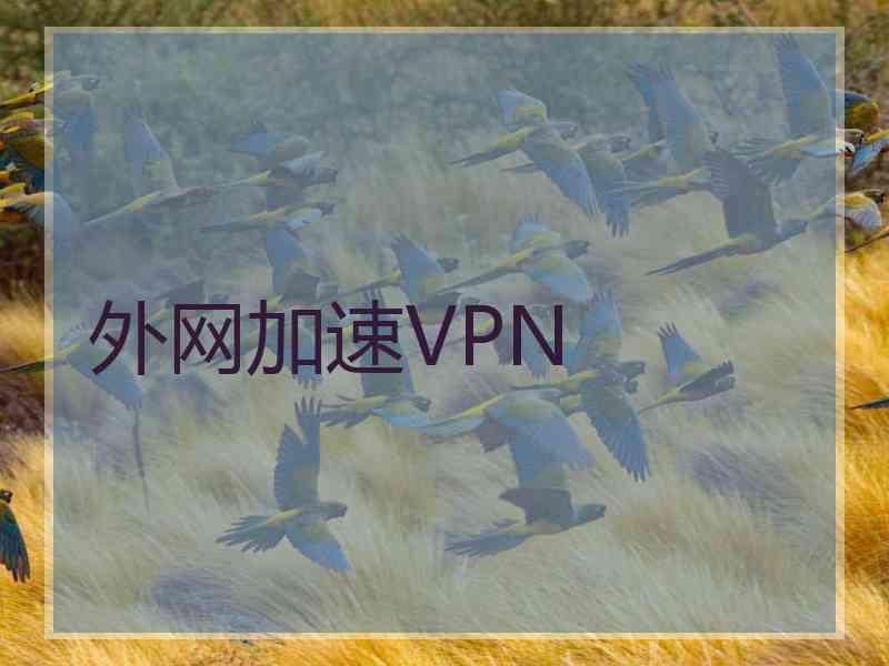 外网加速VPN