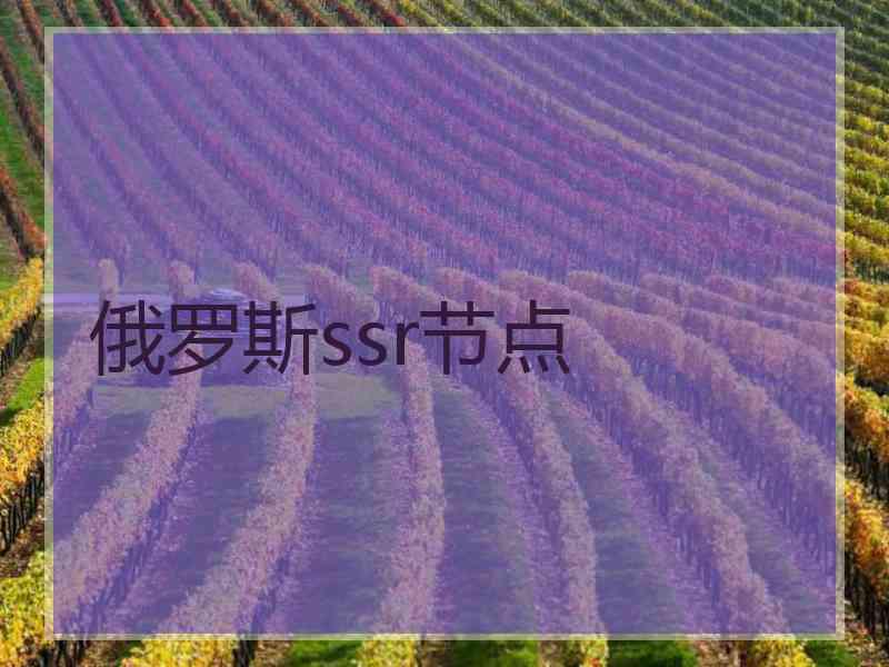 俄罗斯ssr节点