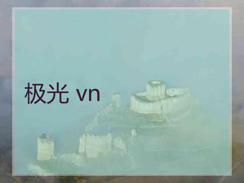 极光 vn