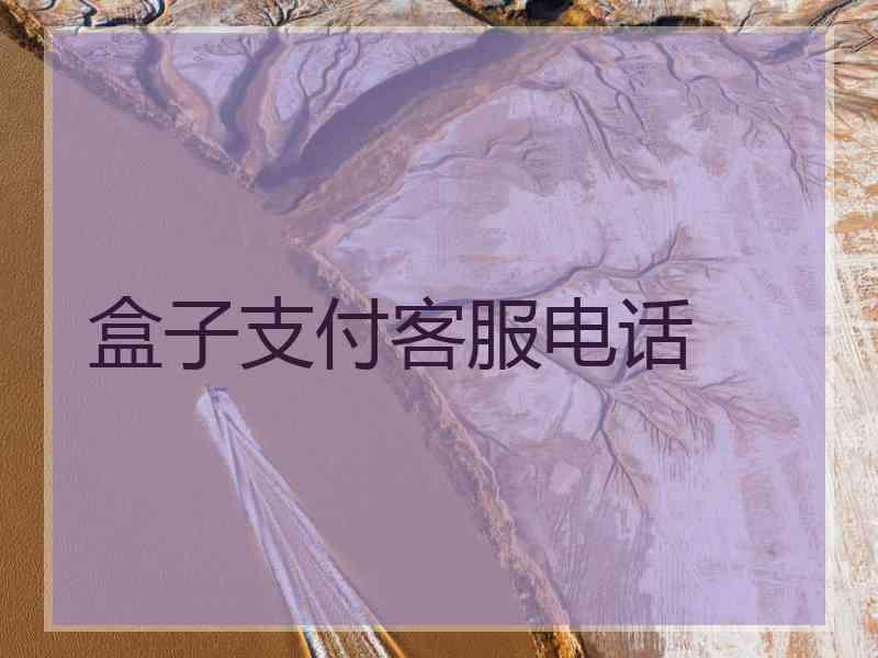 盒子支付客服电话