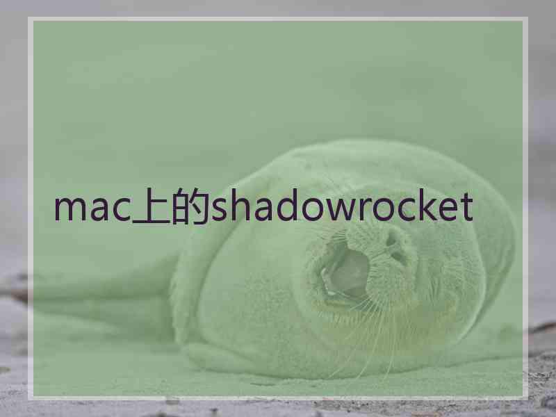 mac上的shadowrocket