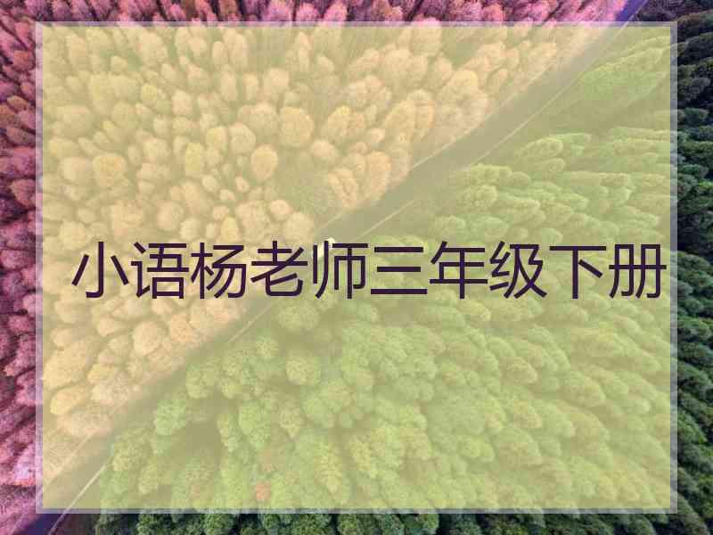 小语杨老师三年级下册