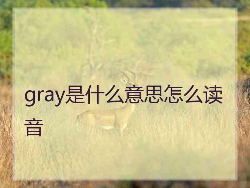 gray是什么意思怎么读音