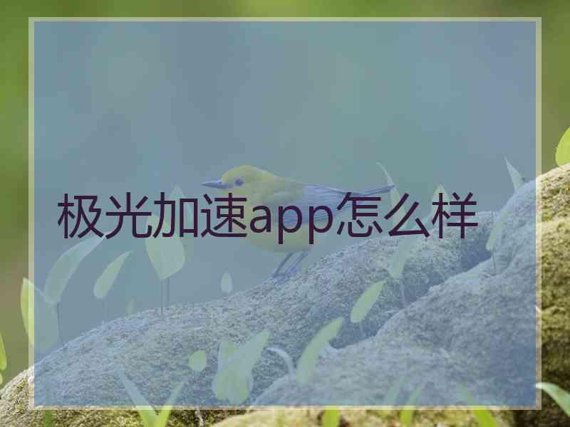 极光加速app怎么样