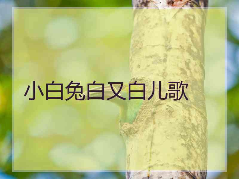 小白兔白又白儿歌