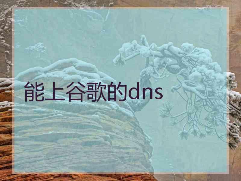 能上谷歌的dns