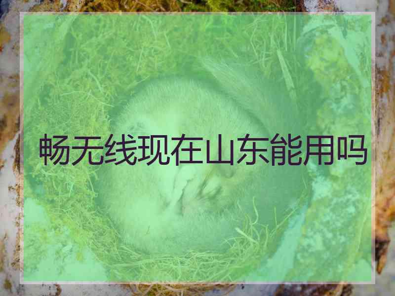 畅无线现在山东能用吗