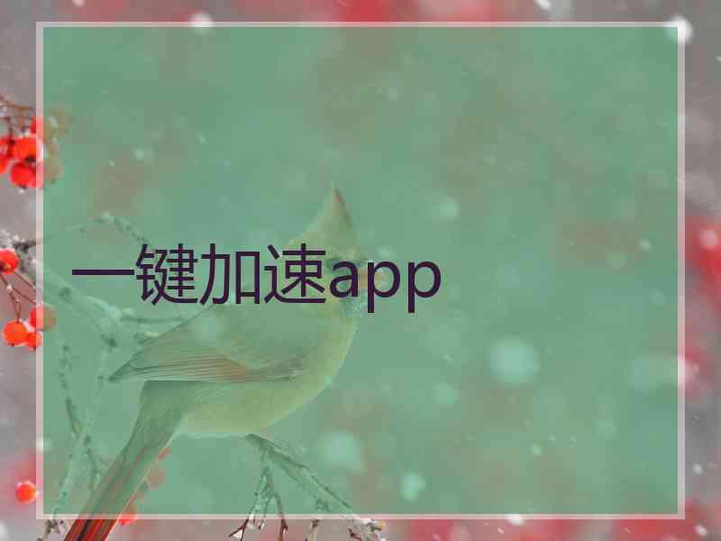 一键加速app