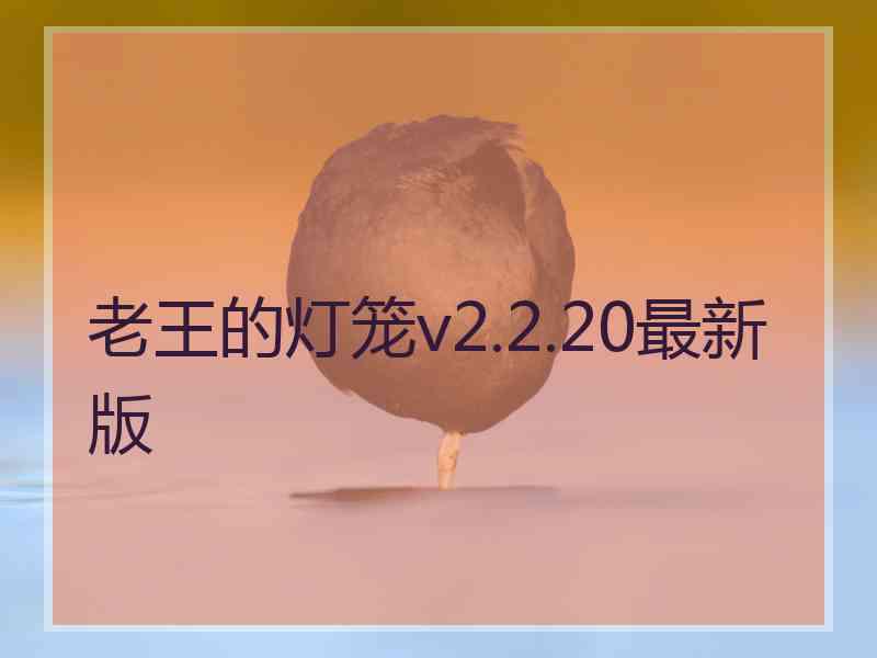 老王的灯笼v2.2.20最新版