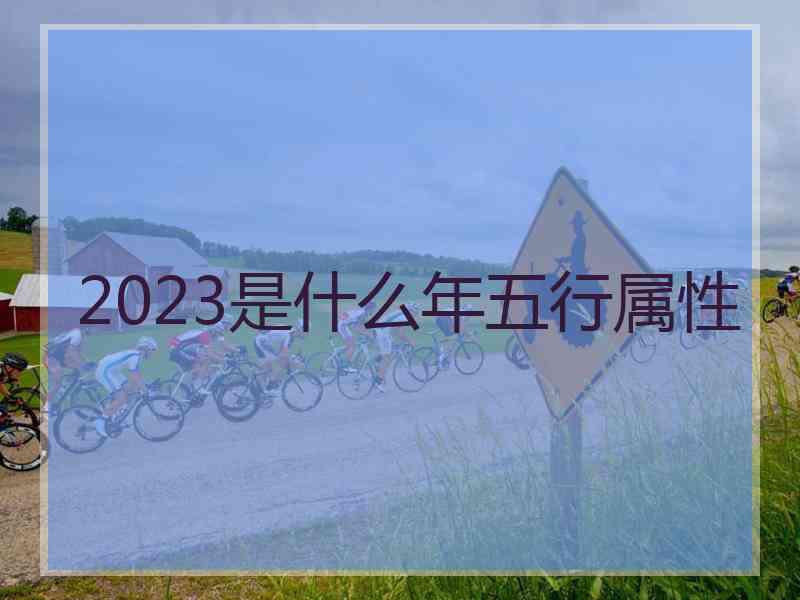 2023是什么年五行属性