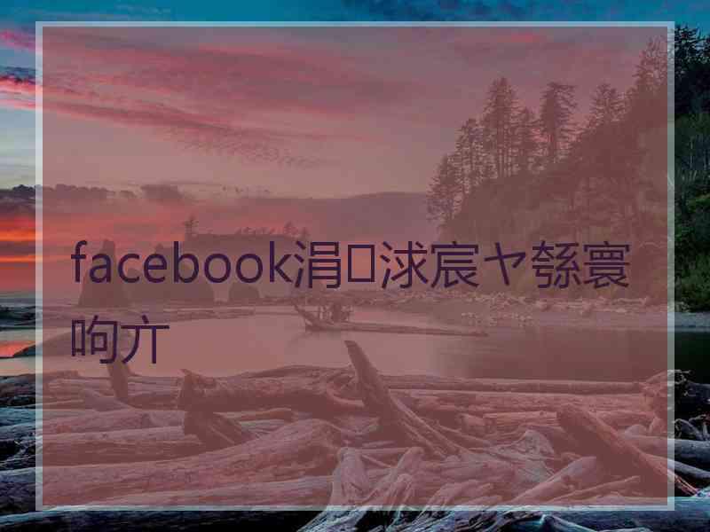 facebook涓浗宸ヤ綔寰呴亣