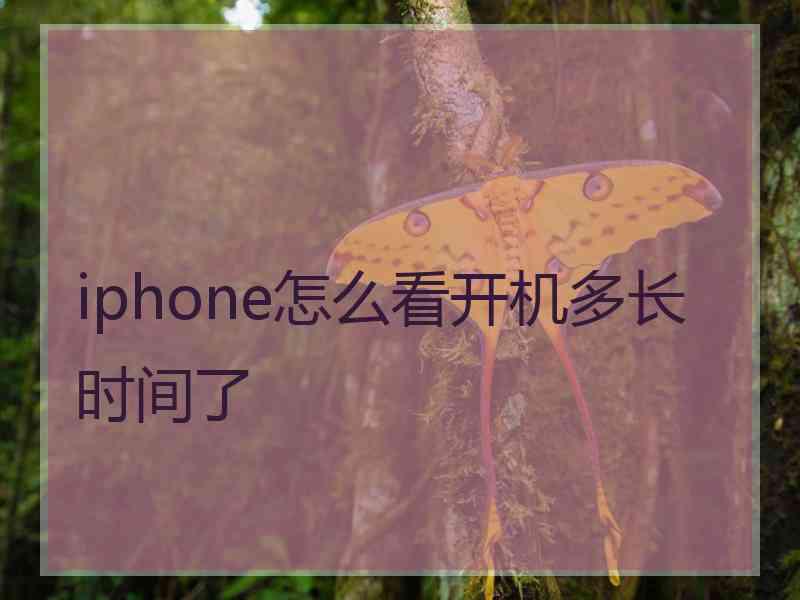 iphone怎么看开机多长时间了