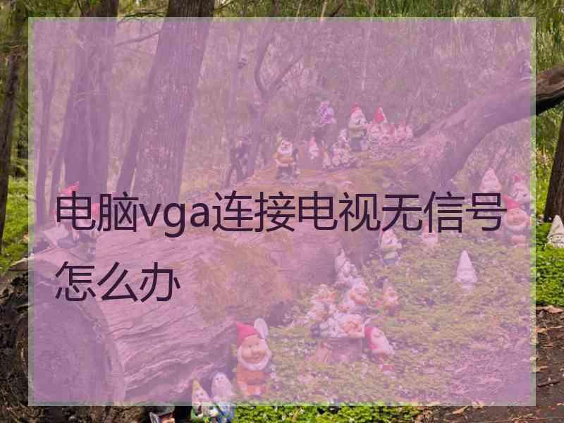 电脑vga连接电视无信号怎么办