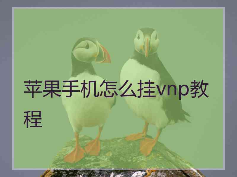 苹果手机怎么挂vnp教程