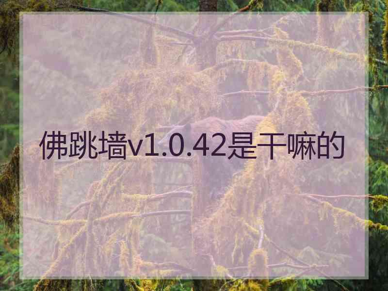 佛跳墙v1.0.42是干嘛的