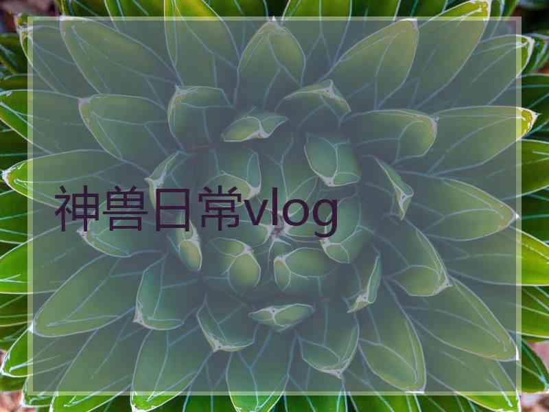 神兽日常vlog