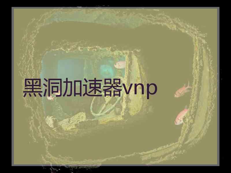 黑洞加速器vnp