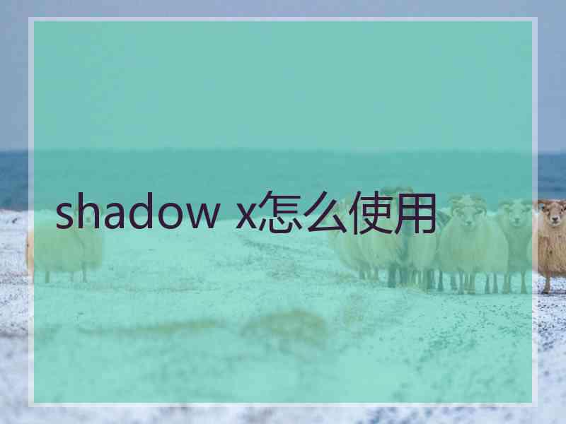 shadow x怎么使用