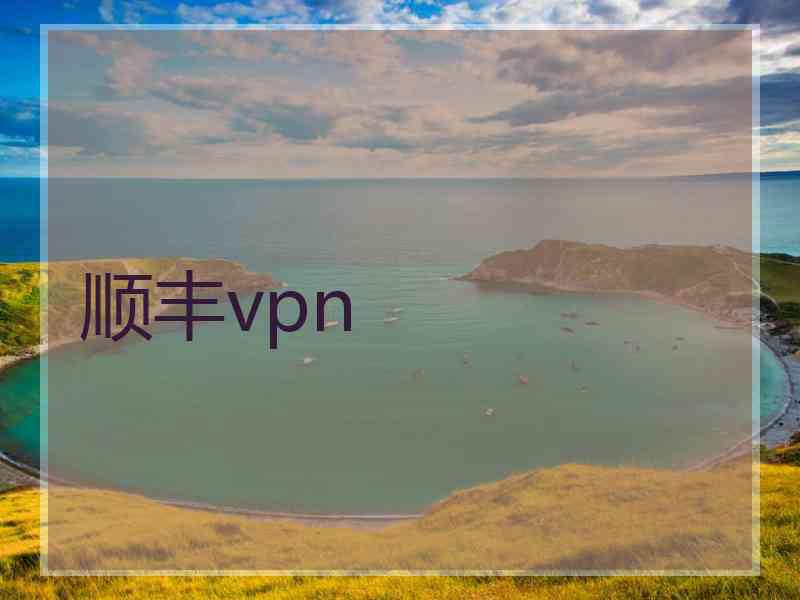 顺丰vpn