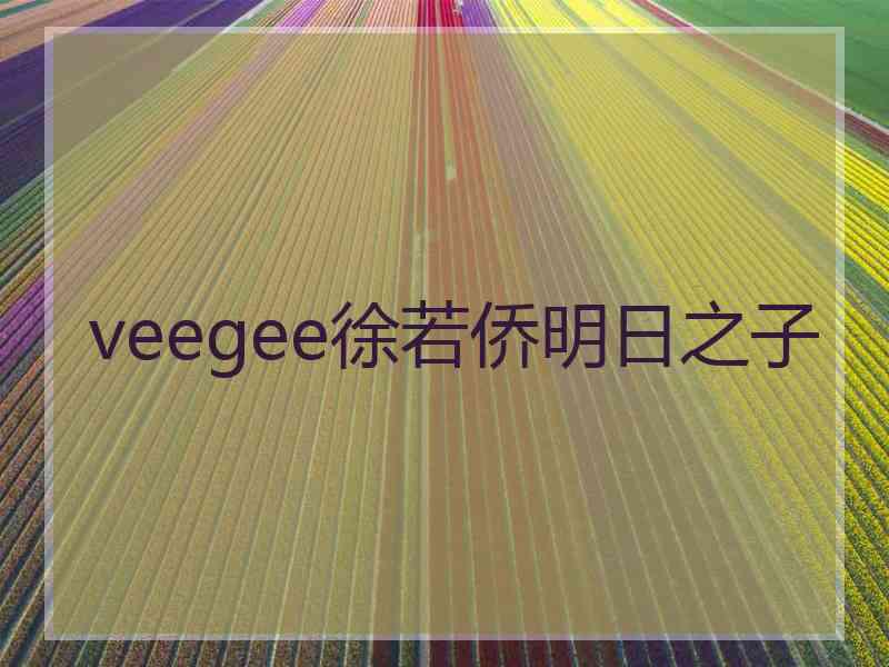 veegee徐若侨明日之子