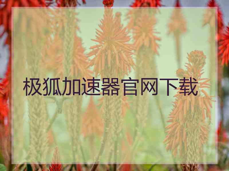 极狐加速器官网下载