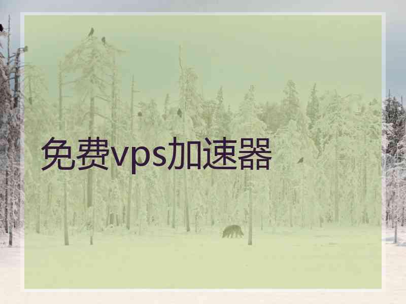 免费vps加速器