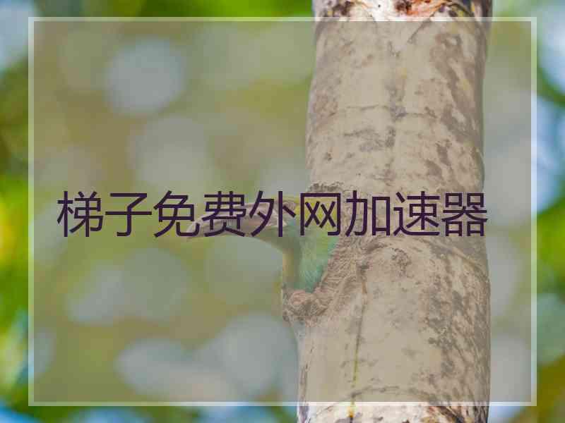 梯子免费外网加速器