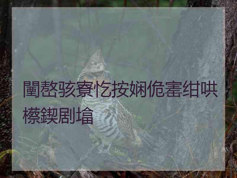 闉嶅骇寮忔按娴佹寚绀哄櫒鍥剧墖