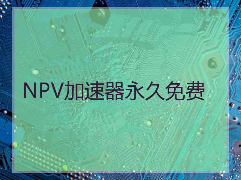 NPV加速器永久免费