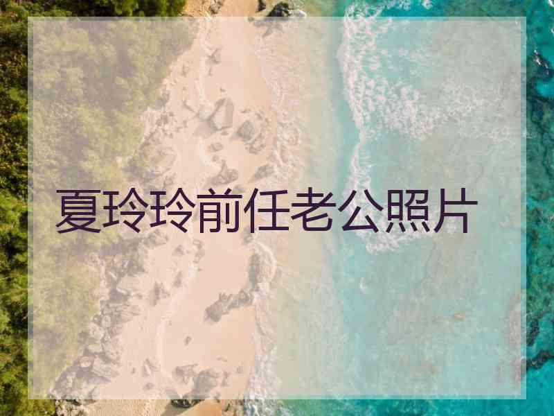 夏玲玲前任老公照片