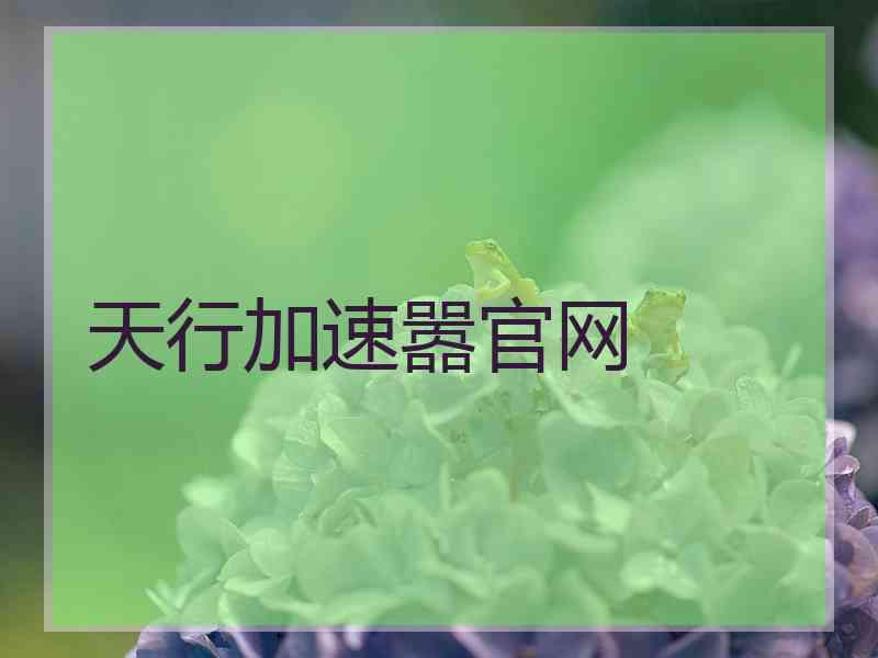 天行加速嚣官网