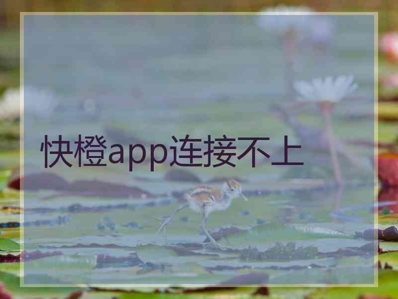 快橙app连接不上