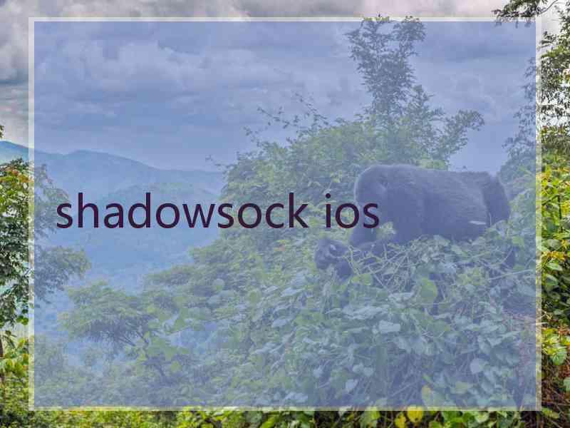 shadowsock ios