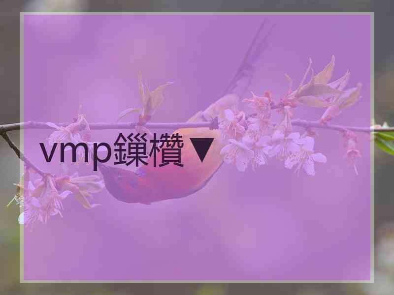 vmp鏁欑▼