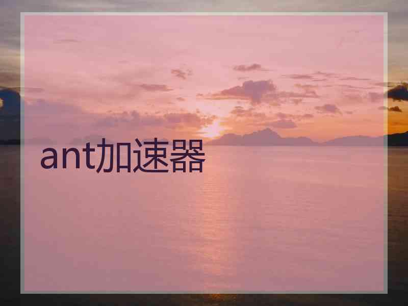 ant加速器