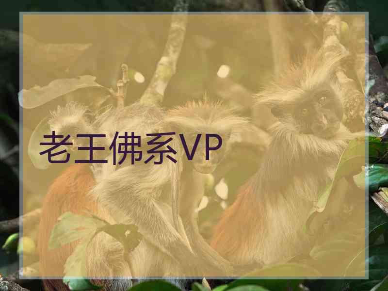 老王佛系VP