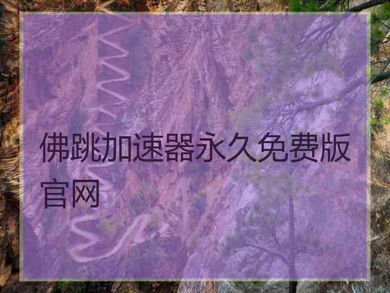 佛跳加速器永久免费版官网