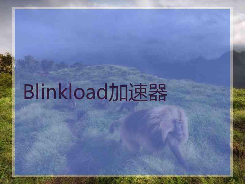 Blinkload加速器