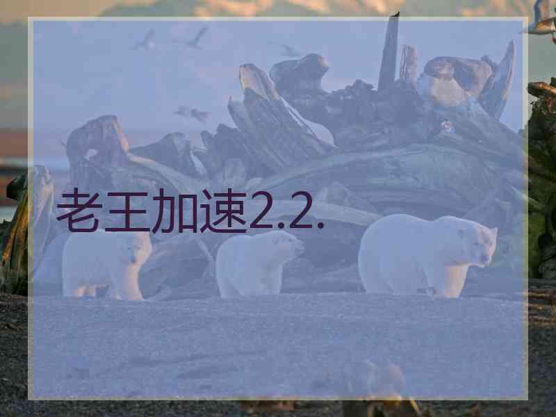 老王加速2.2.