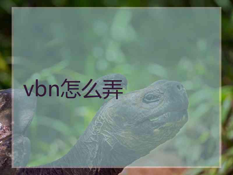 vbn怎么弄