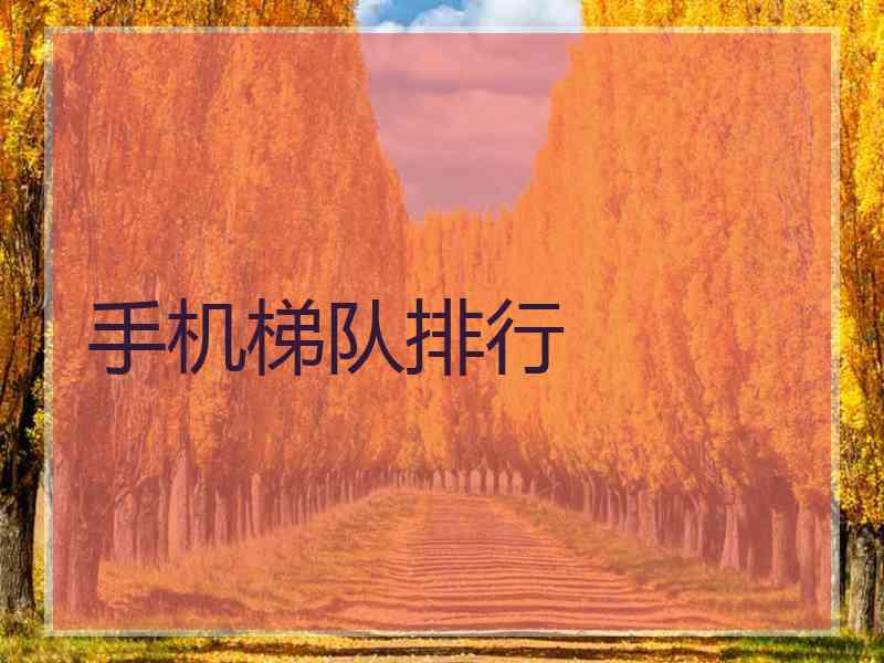 手机梯队排行